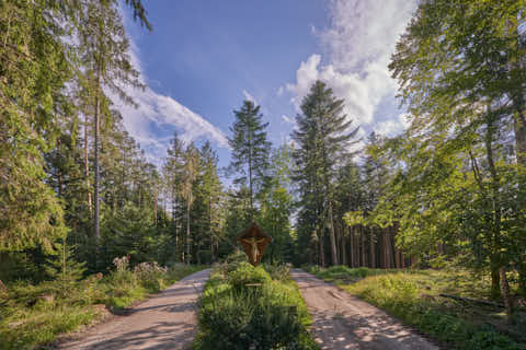 Gemeinde Simbach Landkreis Rottal-Inn Schellenberg Wegkreuz (Dirschl Johann) Deutschland PAN